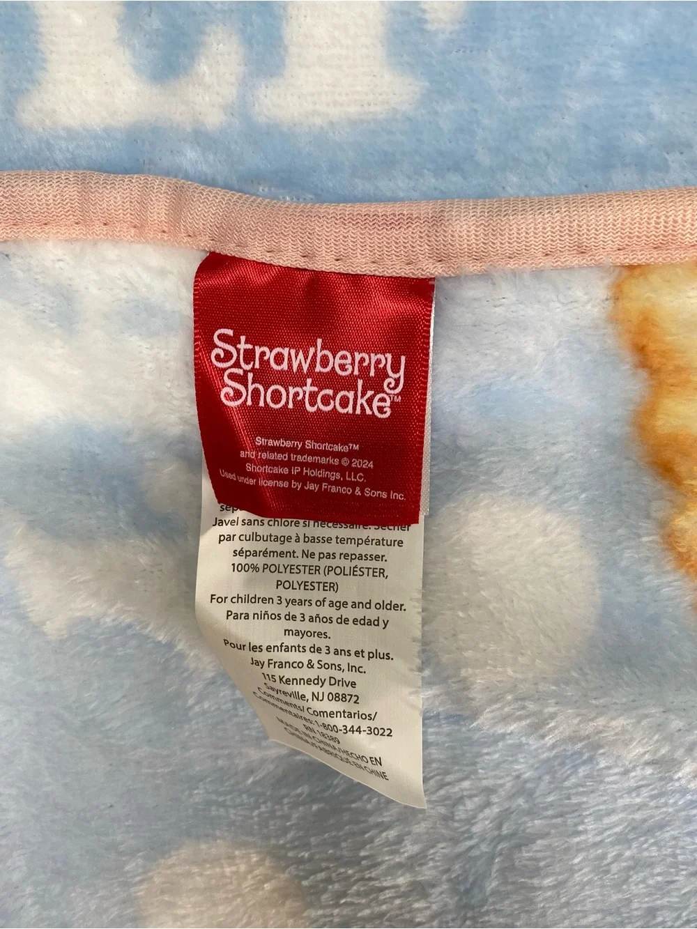 Strawberry Shortcake Plush Kids Blanket Blue Bubble Design Treat Yourself Cozy